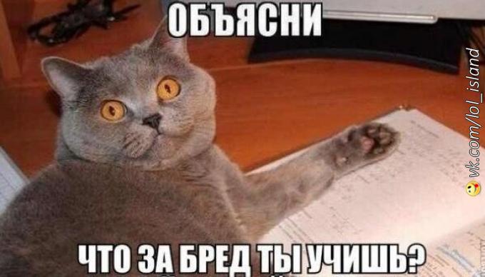 Смешные картинки с учебы, год