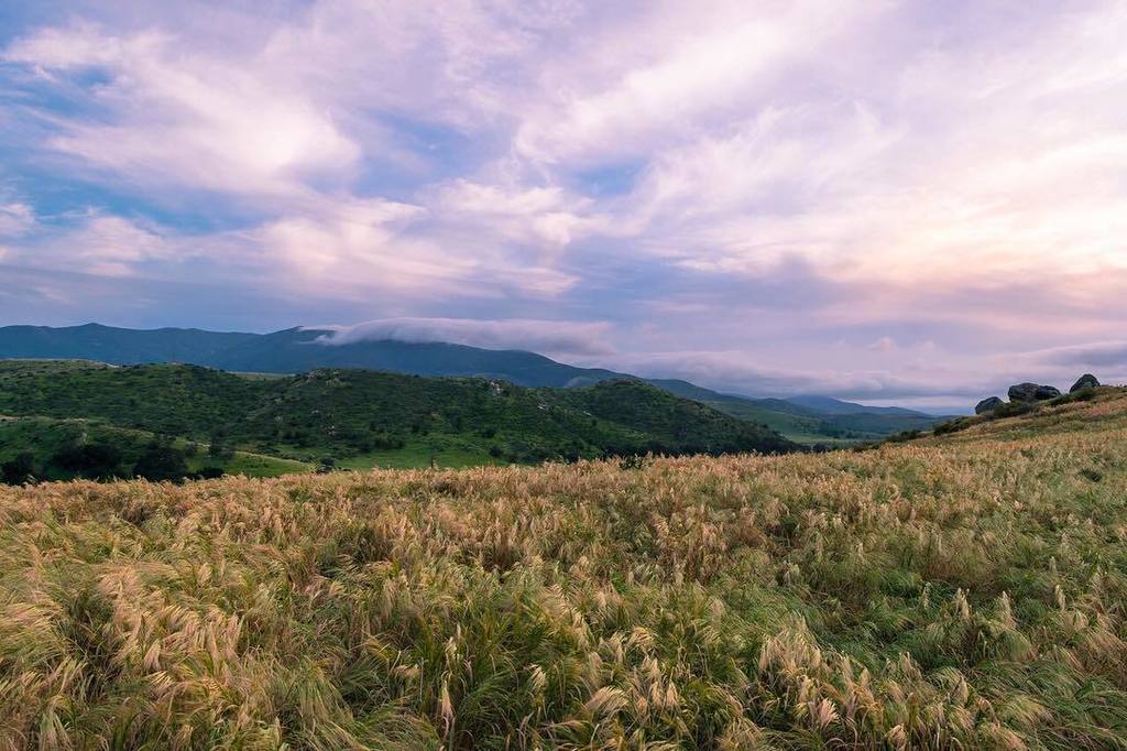 CaTurfPros's tweet image. Brighten up your Monday. 
#ig_masterpiece #bindebros #watchthisinstagood #california_igers #igerssandiego #mysdphot…