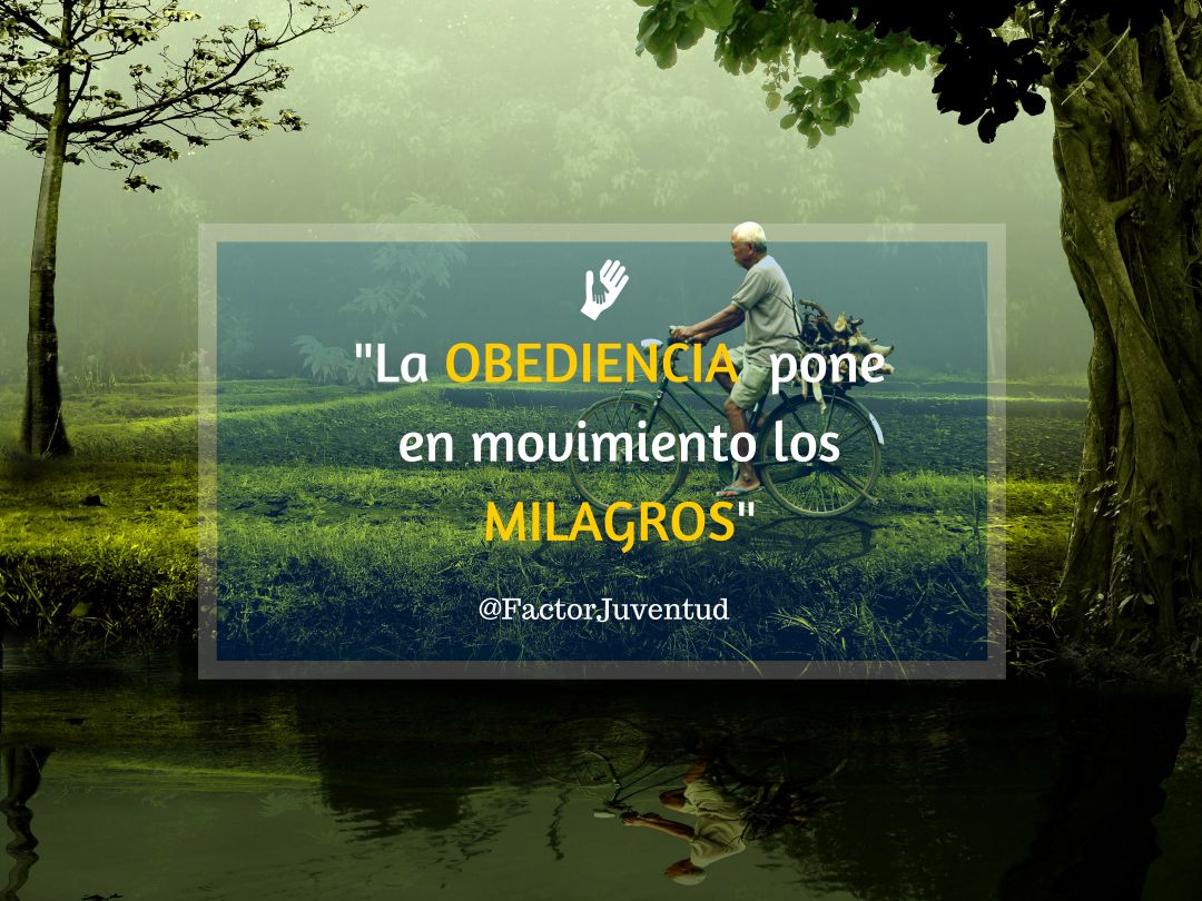 FactorJuventud's tweet photo. #Obedece siempre a Dios y los #Milagros aparecerán en tu vida! #FactorJuventud https://t.co/88xsv0Vj3E