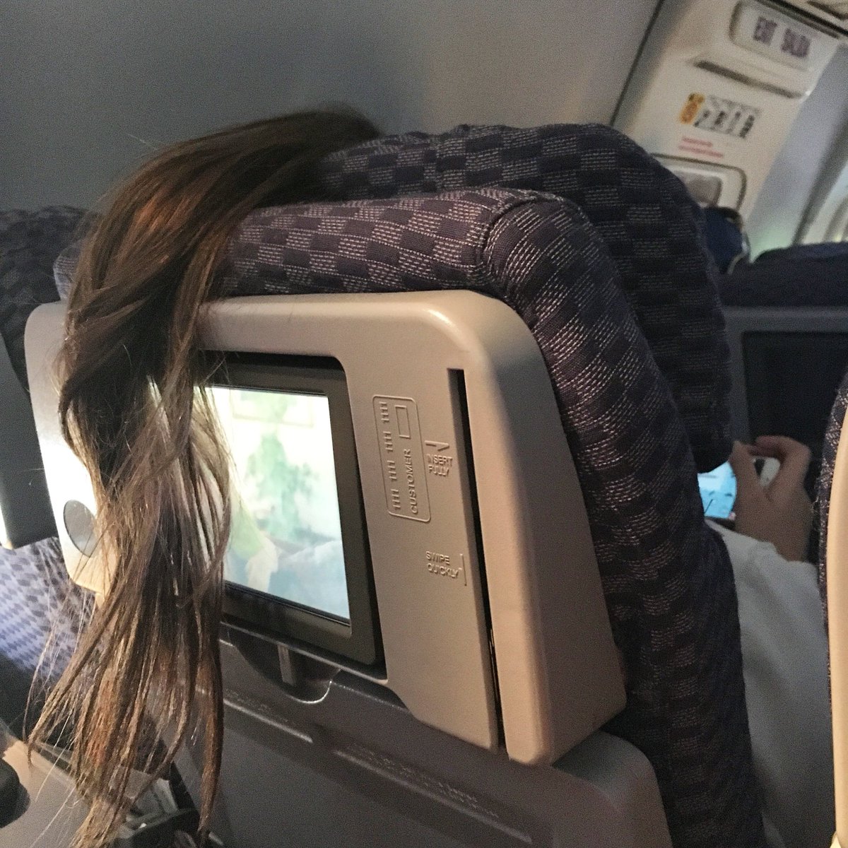 Ponytailed Plane Passenger Is Blissfully Unaware She’s Ruined Someone’s Day CerboXCWAAUiDO4