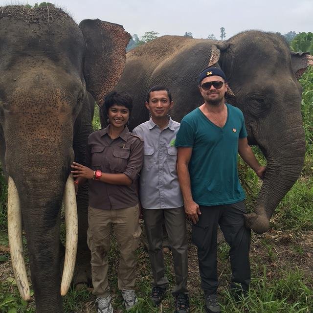 Ingin Bertemu Orangutan, Leonardo DiCaprio Diam-diam ke Aceh