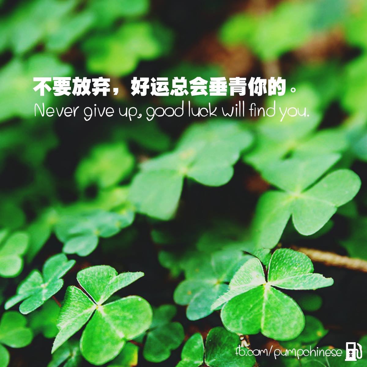 不要放弃，好运总会垂青你的。 Búyào fàngqì, hǎo yùn zǒng huì chuíqīng nǐ de. อย่าถอดใจ  เดี๋ยวโชคดีก็จะเข้าข้างคุณเอง #中文 #ภาษาจีน