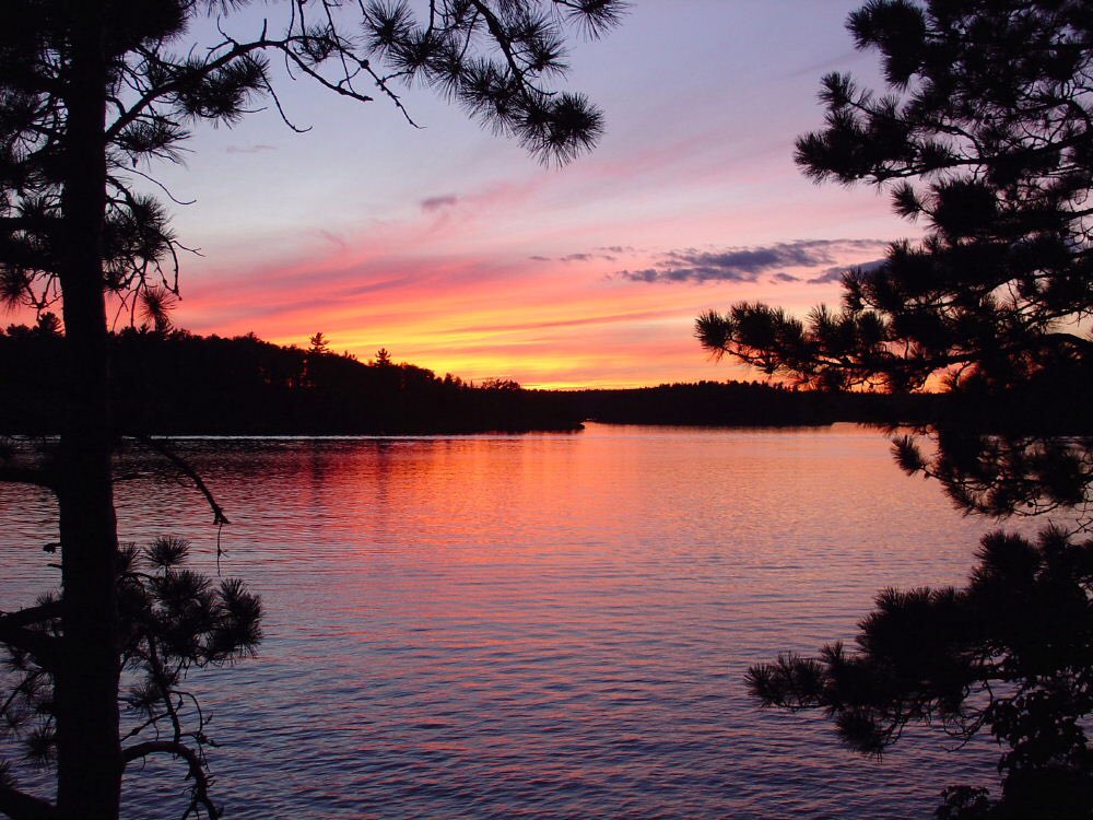stateofpuck's tweet photo. Who's ready for Minnesota summer nights? 😍🔥 #Life https://t.co/rp7cvwCmNw