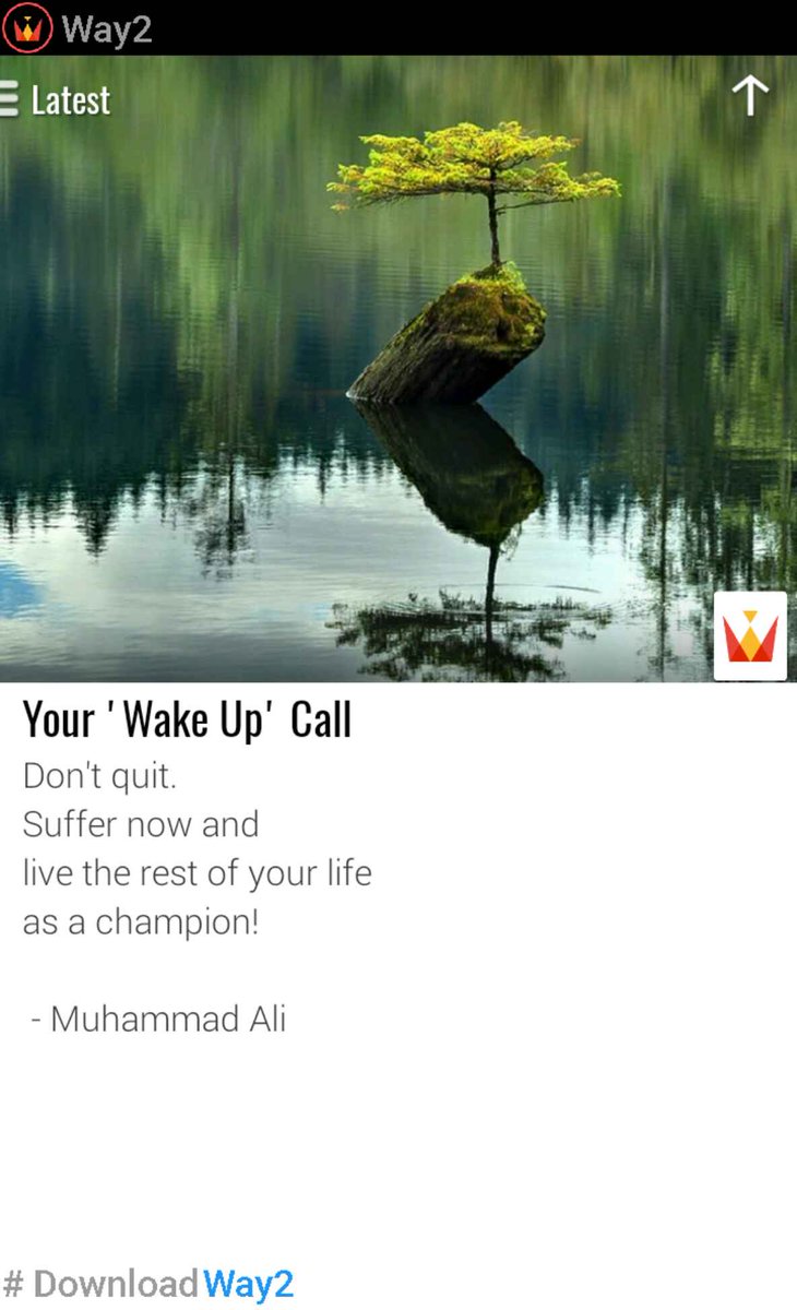 Your 'Wake Up' Call