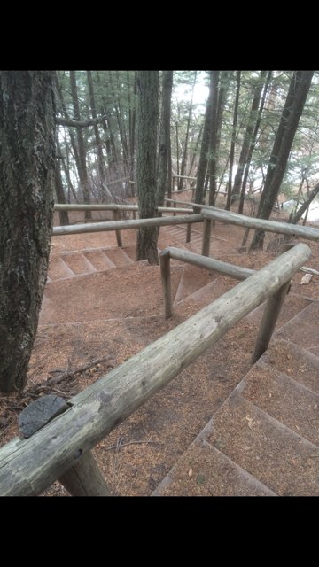 BBackCountry's tweet image. First trail run with the new Salomon Speedcross kicks crushed. Had to move them up the list! bit.ly/1TfsrGX