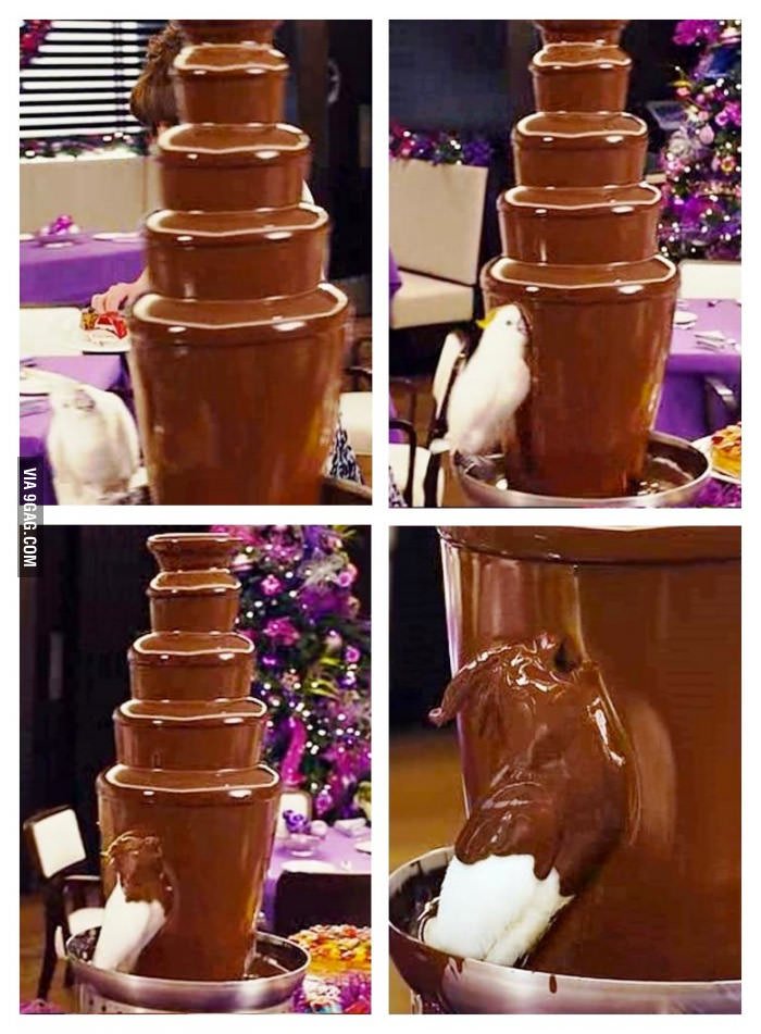9GAG's tweet photo. My spirit animal. 
https://t.co/4rSRtG7jL2 https://t.co/v9ug49gBaM