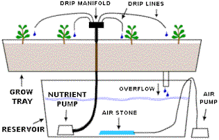ilovegrowingmj's tweet photo. Hydroponic Growing Systems https://t.co/1q7mCpLbmO #marijuanacommunity #cannabiscommunity #cannabisculture #growlife https://t.co/CFjs5DXVVA