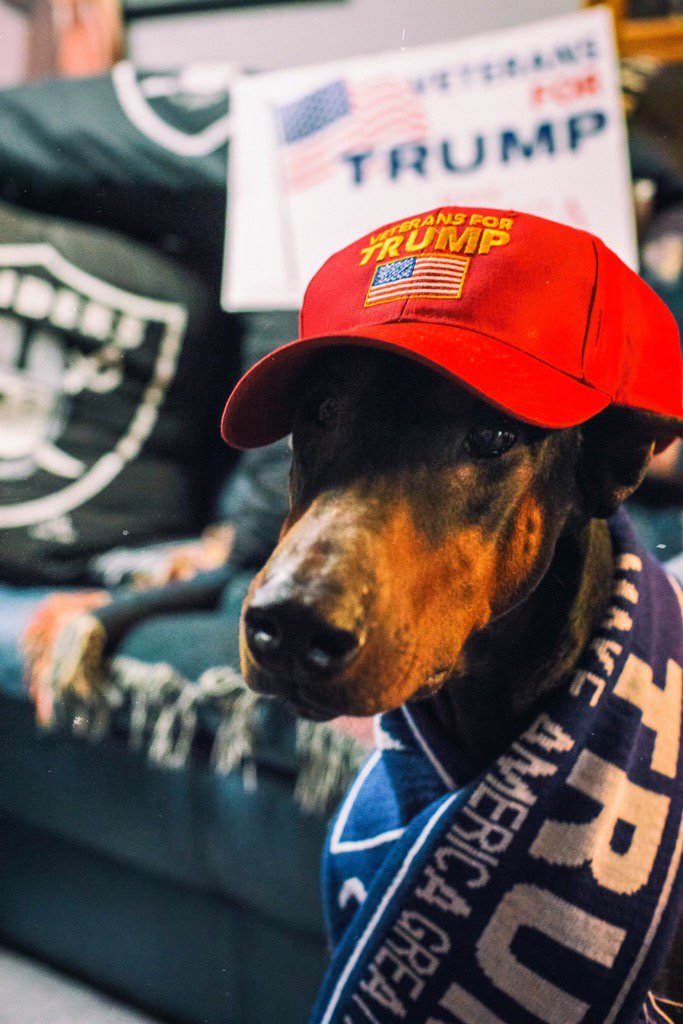 MichaelHatch67's tweet photo. @pupsfortrump #trumppups https://t.co/c5djP9z0CL