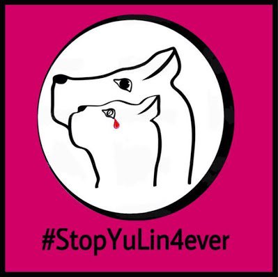 #StopYuLin4ever Tuesday Tweet Sheet is here~20 quick tweets! => bit.ly/22IIpQ0 <= Please share far &amp; wide!