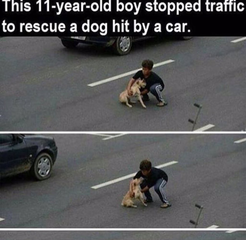Shannakress83's tweet photo. Je trouve ces images tellement belles
Un gamin de 11 ans stoppe le trafic pour sauver ce pauvre chien ! 👏😱❤️ https://t.co/isZT2HCgYy