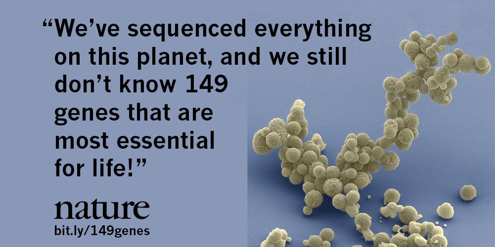 A 'minimal' cell has been created with just 473 genes - but function of 149 are unknown ow.ly/ZZrvx