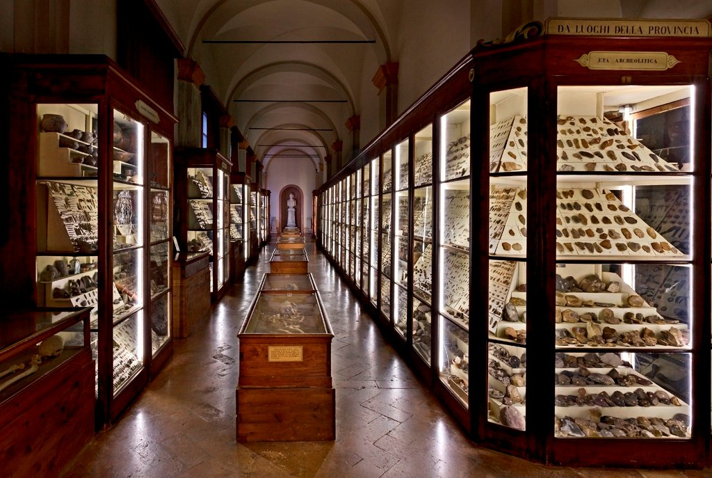 MuseiCiviciRE's tweet photo. #peopleMW #GaetanoChierici e il museo archeologico ottocentesco #MuseumWeek #museoChierici Ph: @VanniniCarlo https://t.co/1KkoTj8pry