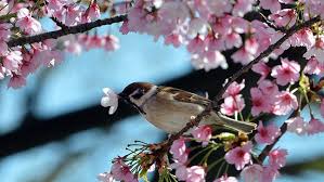 Keypadoffices's tweet image. Kick start the week come into @Keypadoffices and start up a virtual office - contact info@keypad-offices.co.uk