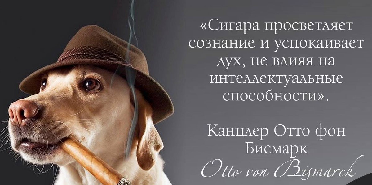 Ембарго tweet media