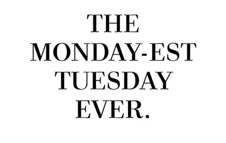 ScouseBirdBlogs's tweet photo. K'off Tuesday https://t.co/luibPXYFVj