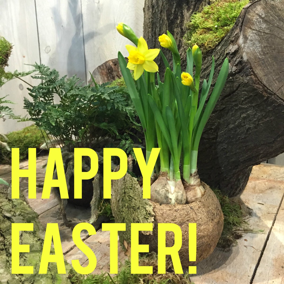 We zijn wat verlaat, door alle paasontbijtjes, brunches en diners met familie. Hebben jullie een fijne Pasen gehad?