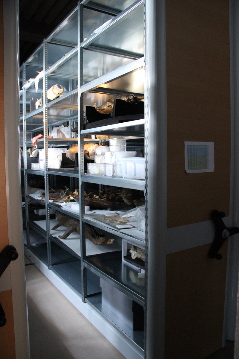CitadelBesancon's tweet photo. On poursuit la séance rattrapage #secretsMW avec les #coulisses du #Museum... #reserves #compactus https://t.co/opw9gngTbs
