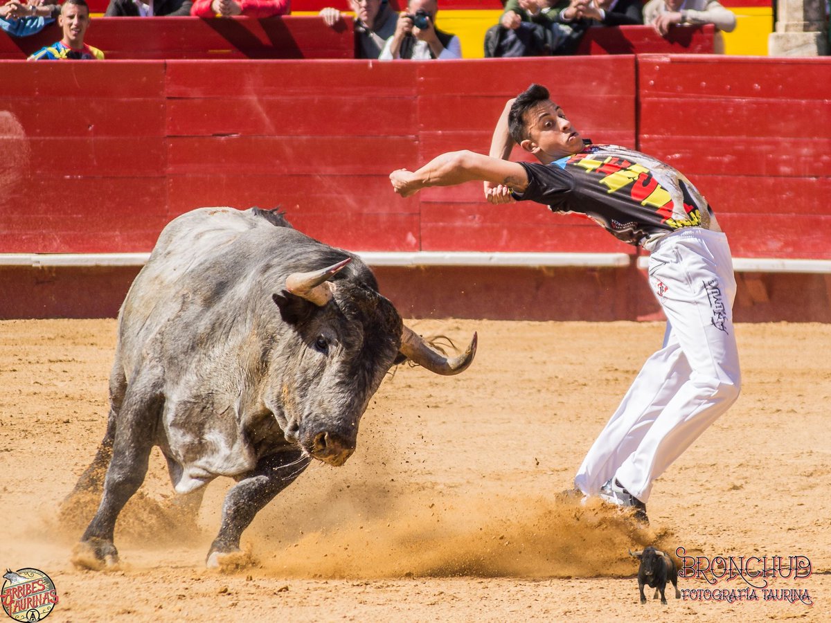 arribestaurinas's tweet photo. Actuación de @pakitotoros en el XXI Concurso de las Fallas en Valencia, con toros de @aadolfomartin. #Fallas16 https://t.co/uD4o7jgL3V
