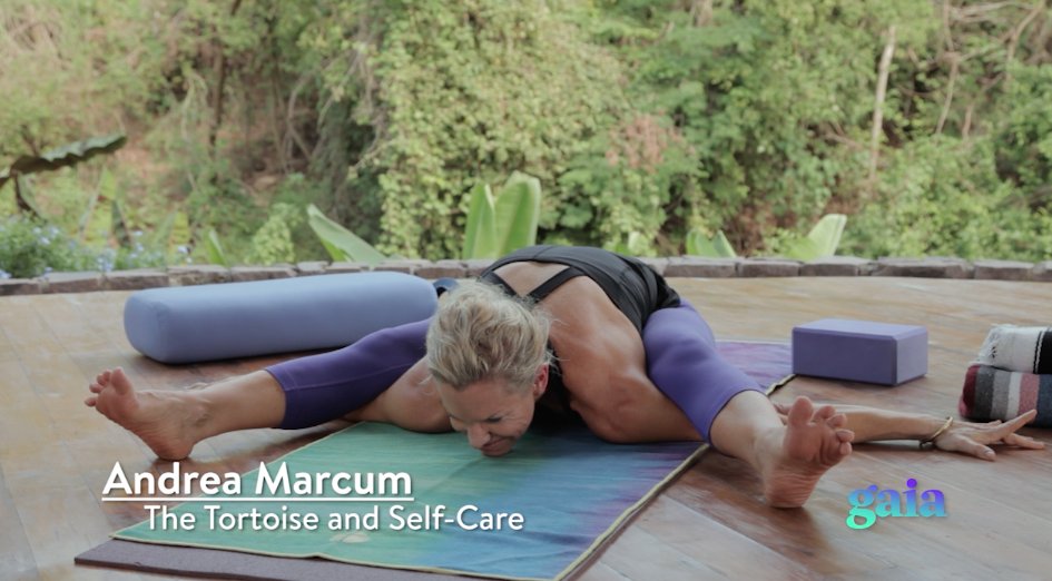 YogaOnGaia's tweet photo. Discover how to create lasting progress &amp; change w/ Turtle Pose #yogavideo@TheAndreaMarcum  https://t.co/Sox40wuTMP https://t.co/MGTPEJ4mU1