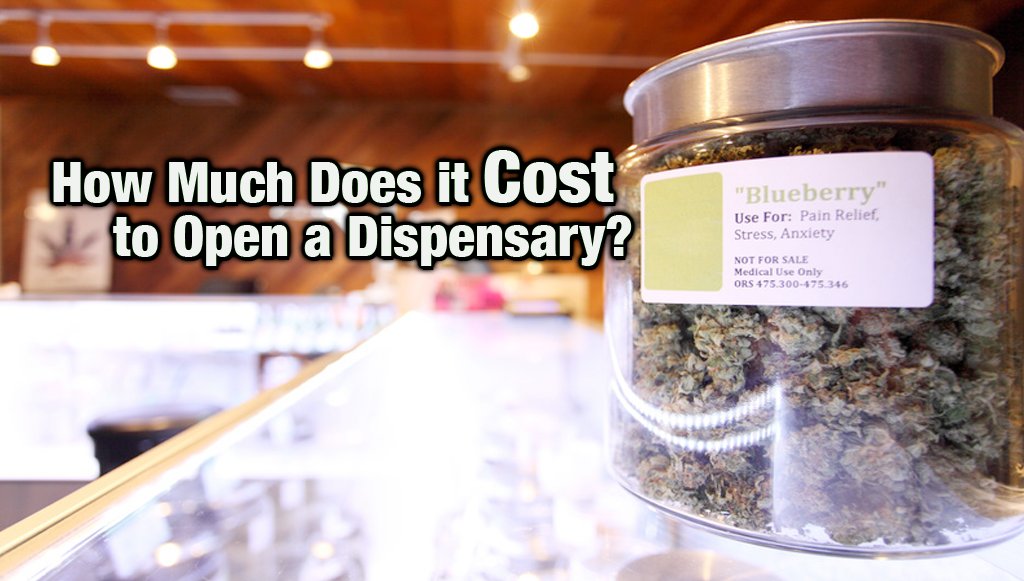 ctmmps's tweet photo. How Much Does it Cost to Open a Dispensary? #ctmmj #ctmmp #ctdcp #legalizect https://t.co/WbetRJeqoj https://t.co/mH8X8mfaAY