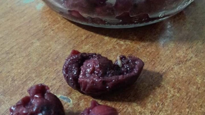 Сэрэмжлүүлэг: “Баясах трэйд” ХХК-ийн оруулж ирдэг “Kowar” компотноос өт гарчээ huvsgul.mn/read/587cc