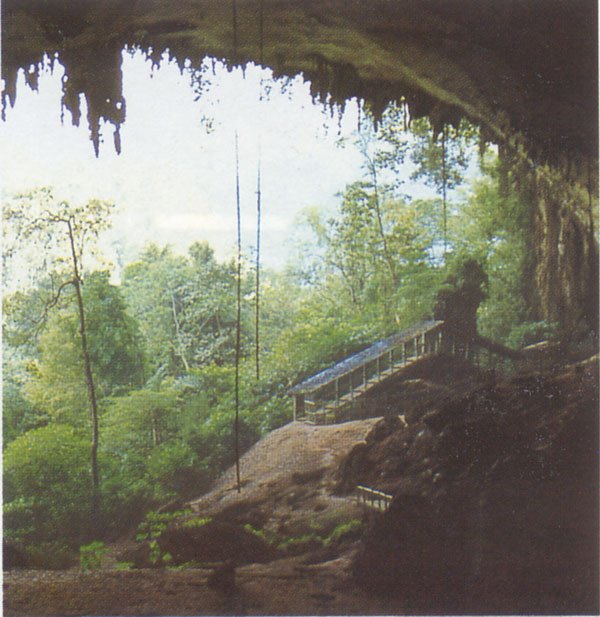 Hisエコツアーデスク ここはどこ ここはボルネオ島にあるムル国立公園の洞窟で世界最大級と言われる このような洞窟は100くらいあり ジャンボジェット40機が入れるものもある T Co Yot2fup95h 洞窟 探検 ボルネオ島 T Co M0wx5qclc0
