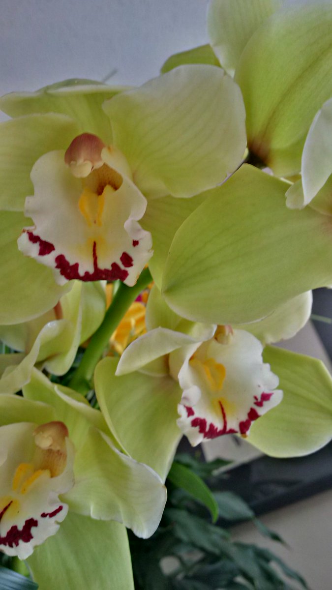 A fab week-  a house full of flowers, many great visits, and adventures with my best guy #40of40 #40fabulousthings