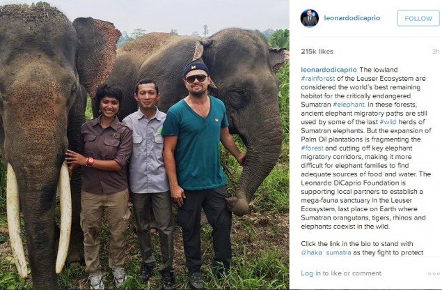 Metro_TV's tweet photo. Leonardo DiCaprio Berkunjung ke Taman Nasional Gunung Leuser Aceh https://t.co/KiAbPjQNvn https://t.co/EdCzqoKIz7