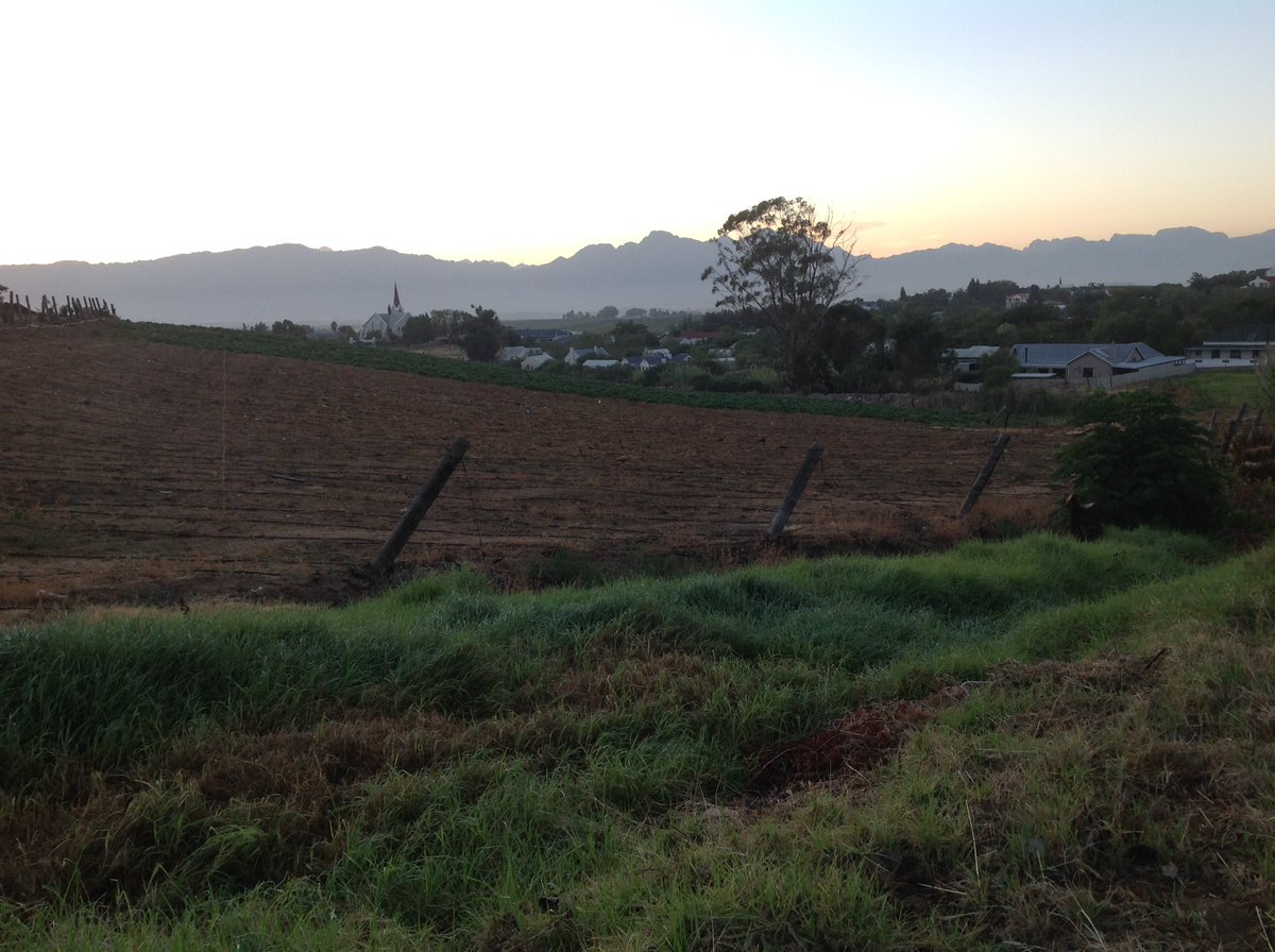 @linda_kruger12 <a href="/DrGaai/">Dr. Cow</a> @ country living is awesome #riebeekkasteel #villatarentaal #Tulbagh