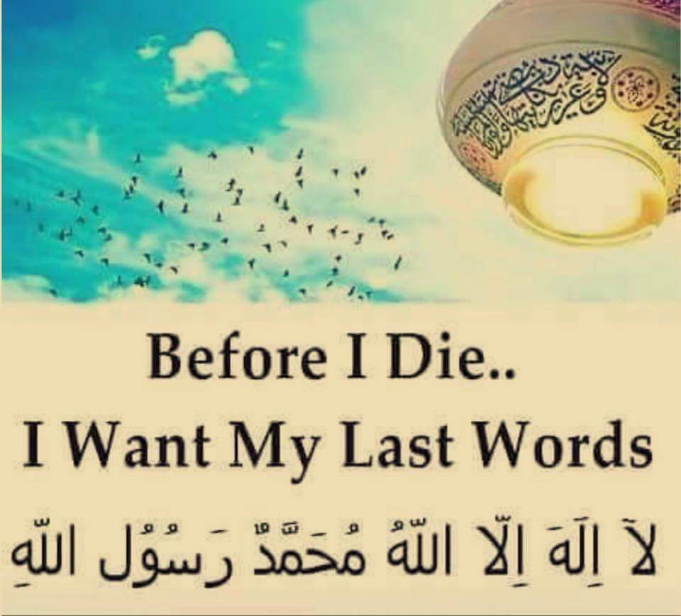 musrivah's tweet photo. 🌸🍀🌸InshaAllah....💖🌿💖 https://t.co/vCBYZKA0TT