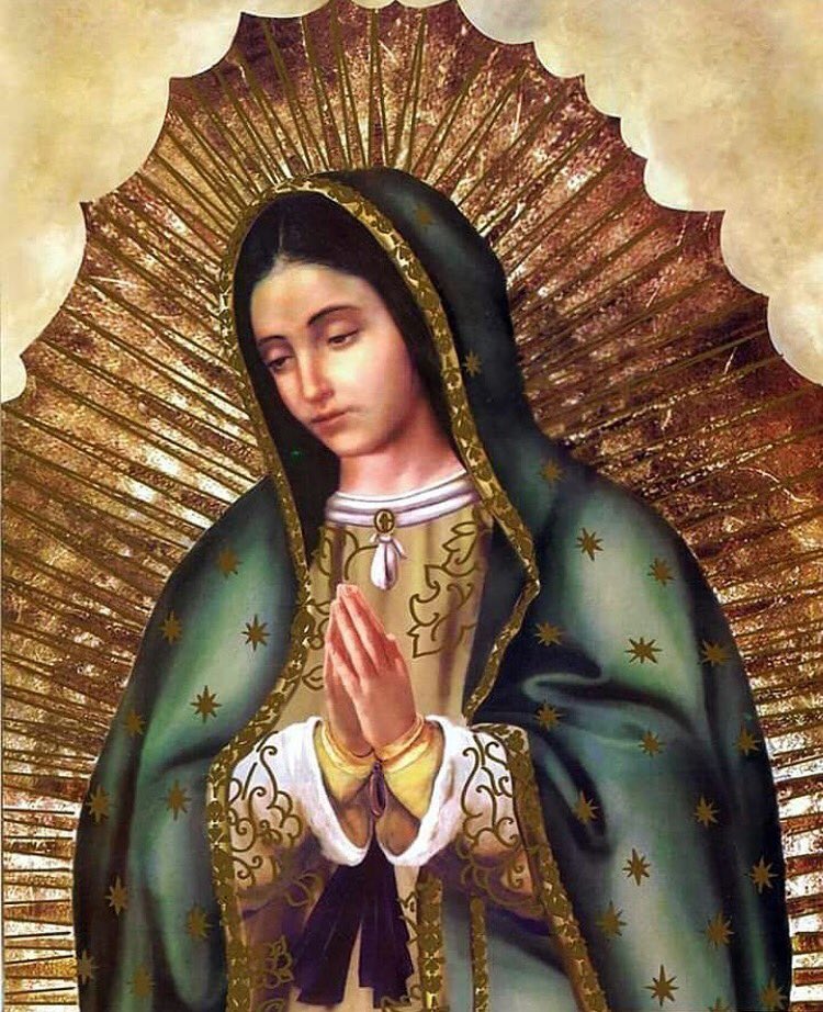ConnectCatholic's tweet image. Our Lady of Guadalupe, pray for us. 🙏