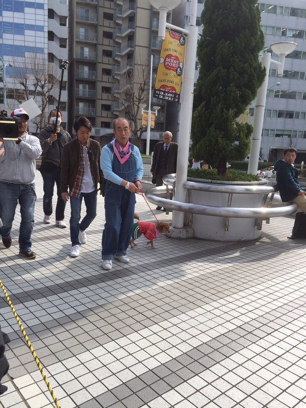 アーマード金閣寺 目撃情報まとめ 東京ドーム周辺で犬と散歩する志村けんと嵐の大野智と遭遇 3 29 志村どうぶつ園 Naver まとめ T Co khxlyvns 大野智 セカムズ T Co Ziupyvjmrm