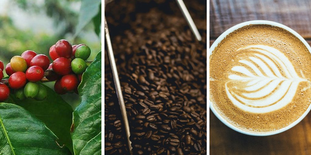 RnfrstAll_UK's tweet photo. Don't let #deforestation ruin your much-needed #BackToWork #coffee this morning: https://t.co/p8u4RwP5VN https://t.co/eJjsYPwoir