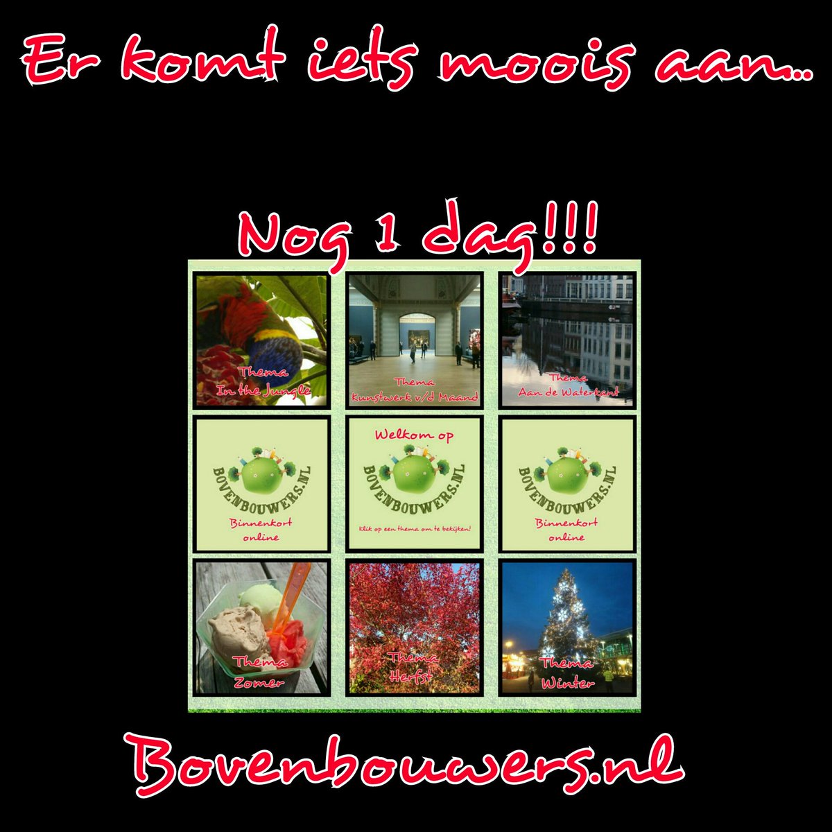 Bovenbouwers (@bovenbouwers) on Twitter photo 