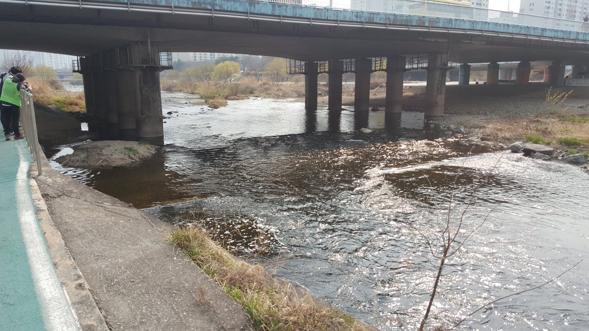 #성남시 탄천의 생태하천 복원과 하천관리에 대해 한겨레신문에서 취재중 입니다. 맑고 깨끗한 생활속의 아름다운 탄천을 가꾸기 위한 관심이 증대되고 있습니디ㅡ