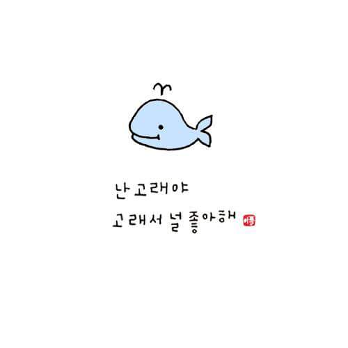 단비 tweet media