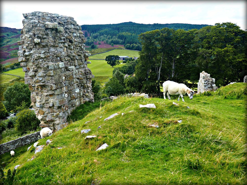 NlandNP's tweet photo. Book your ticket for our #GuidedWalk to the #DrakeStone & #Harbottle #Castle tomorrow - https://t.co/VPKgnelMVC https://t.co/buErfJtO9t