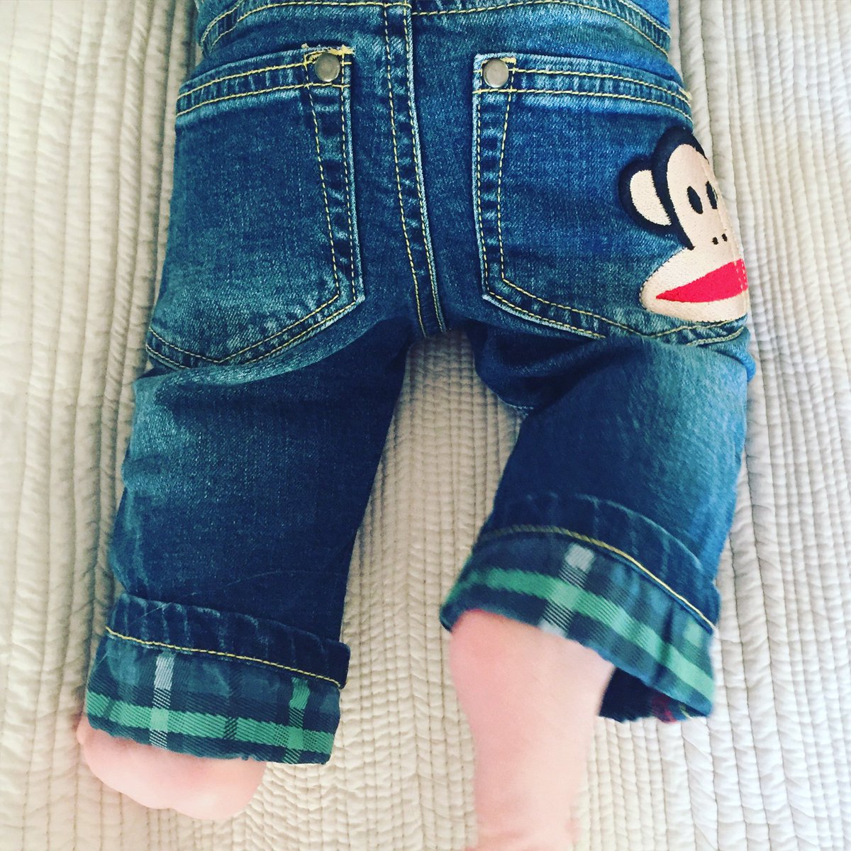 Rosie_Nixon's tweet image. Monkey business @paulfranktweets #firstjeans #gettingreadytomove