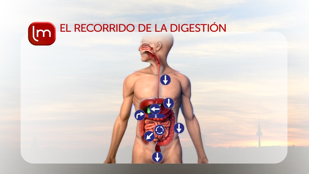 Reflujo, acidez, gases, hernia. Hoy en <a href="/SaberVivirTVE/">Saber Vivir</a> medicación y ap.digestivo con <a href="/drguerrazcona/">Gonzalo Guerra</a> y <a href="/AVallejoNagera/">A VallejoNagera</a>