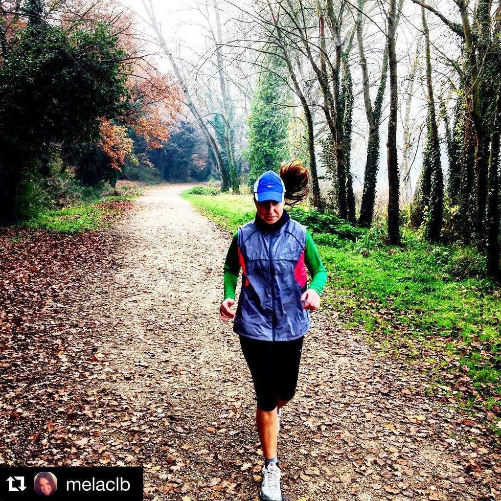 Trasimeno Lake tweet media