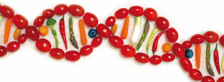 днк питание. днк питание. генетика питания. нутригеномика. пища и гены.