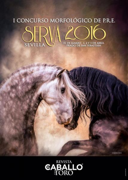 anccepre's tweet photo. I Concurso Morfológico PRE, SERVA 2016, en Sevilla, 31 Marzo -3 Abril: https://t.co/MOYG6voIDt
#Caballos #PRE https://t.co/KiIStXbbuY