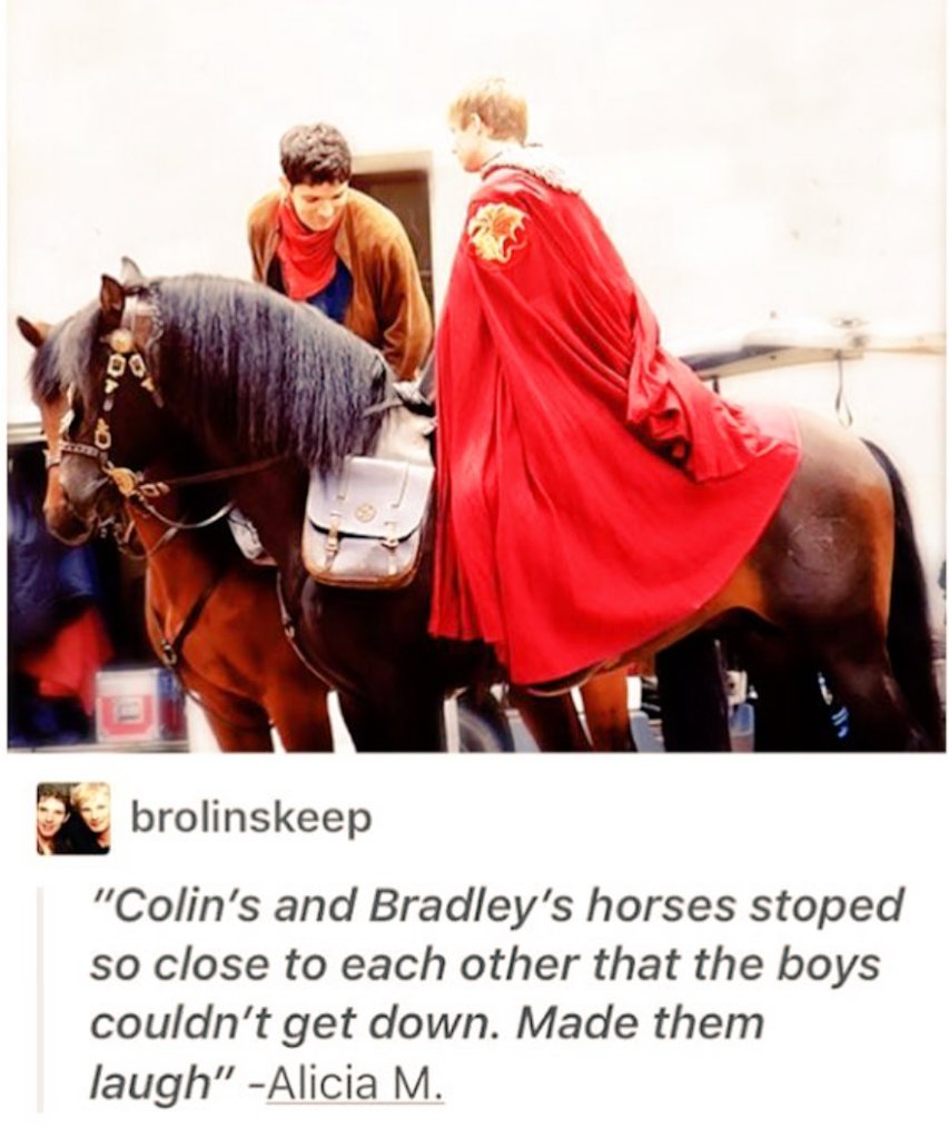 lotsoftrash's tweet photo. Looks like the horses shipped them too #brolin #merthur #ColinMorgan #BradleyJames #Merlin #ArthurPendragon https://t.co/x7E8DpnmTK