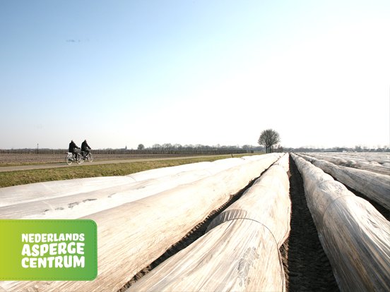 Asperge centrum tweet media