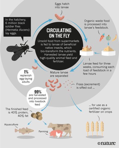 #Circulareconomy: Getting the circulation going w/ <a href="/EnterraFeed/">Enterra</a> #NaturePublishingGroup scoop.it/t/protein-alte…