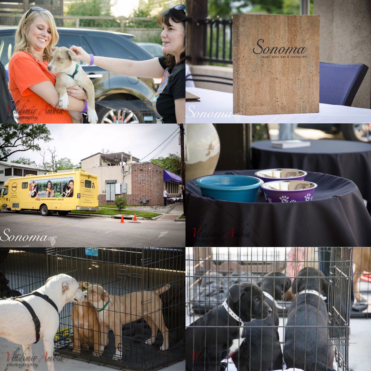 sonomahouston's tweet photo. #PawsForWine Sat.April 9, 3-6pm @sonomahouston #HoustonHeights ๐พWine, Craft Beer + Food Tasting $50 @SNAPus #HOUSTON https://t.co/urjPTqnVpR