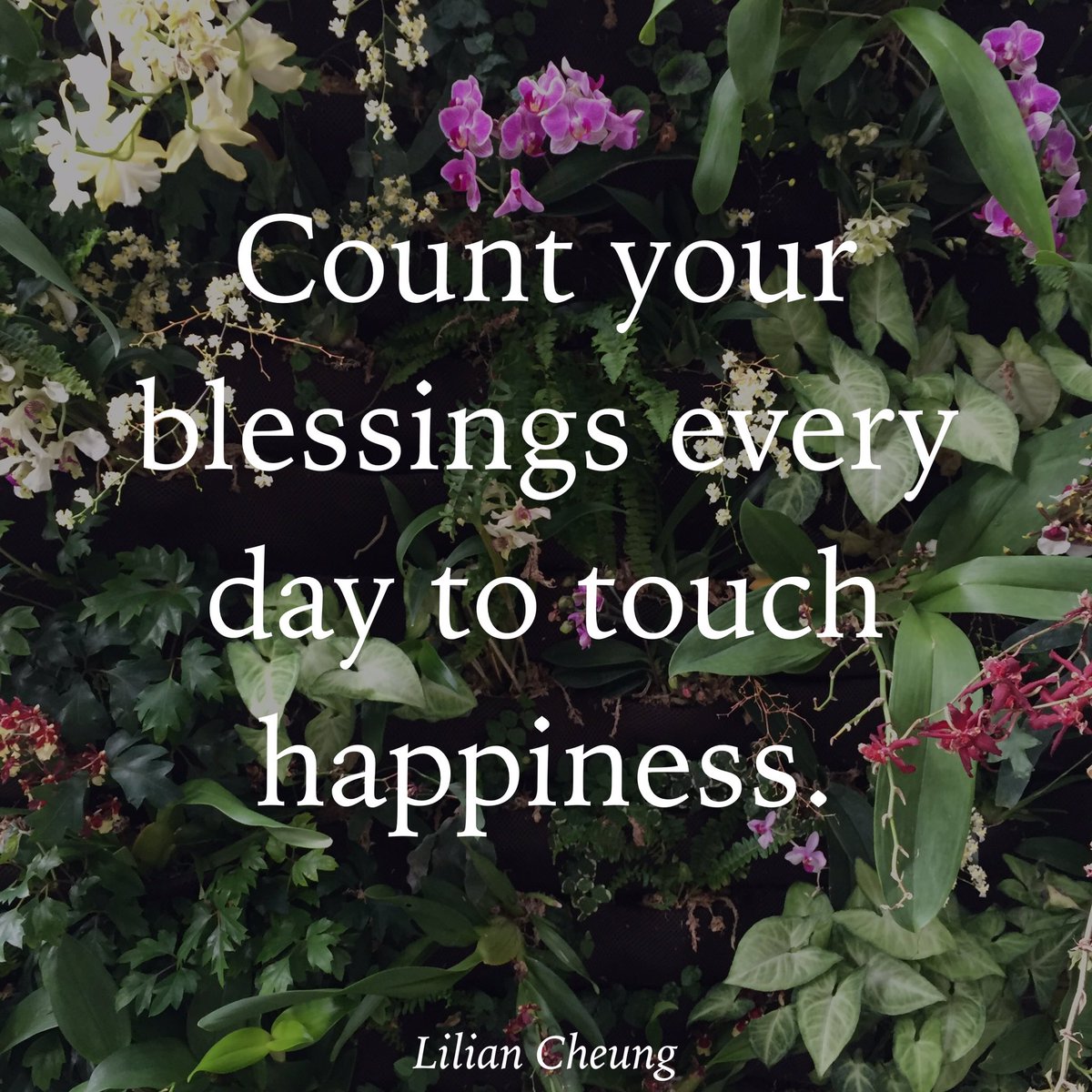Count your #blessings every day to touch #happiness.