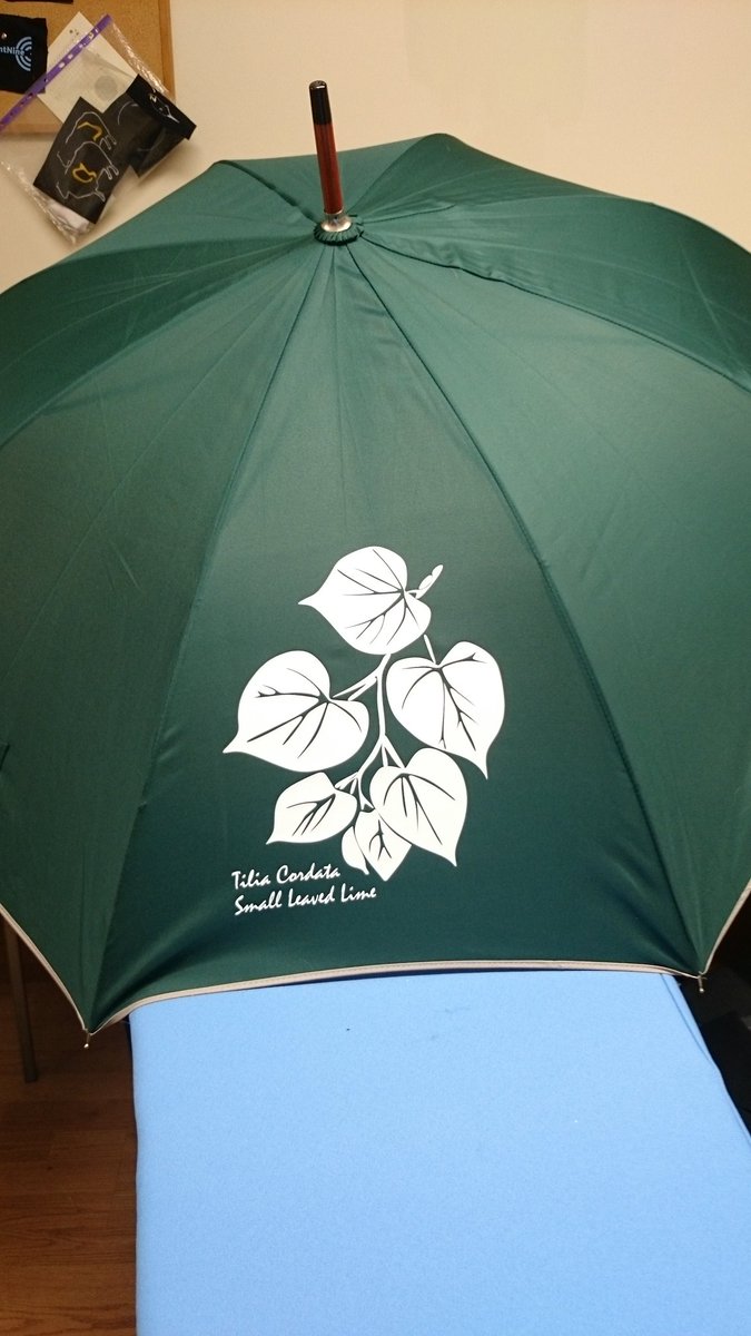 Know your roots and keep your head dry <a href="/Tettenhall/">Tettenhall</a> #localities #smallleavedlime #britishdesign #AprilShowers