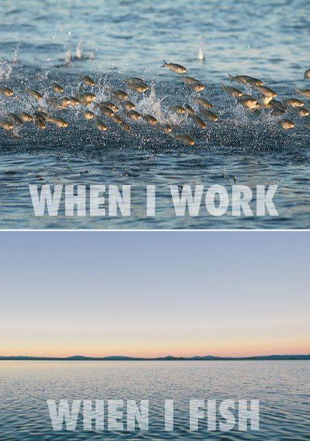 fishboxapp's tweet photo. Sad but true... https://t.co/MLP44hLYSS
