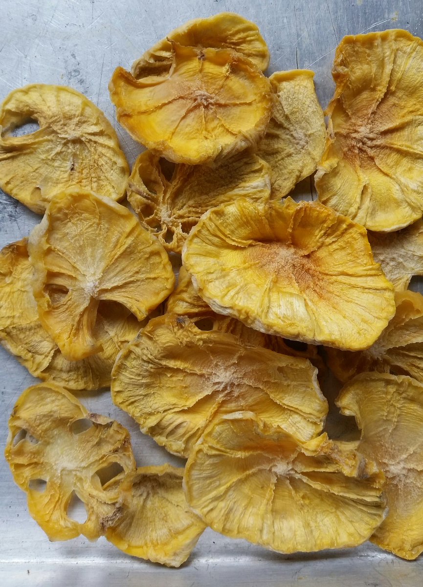 Mukum3's tweet photo. Why should we process #GroundApple aka #Yacon to juice, jam, wine or syrup, when you can simply dry them? https://t.co/TNZePi43VG